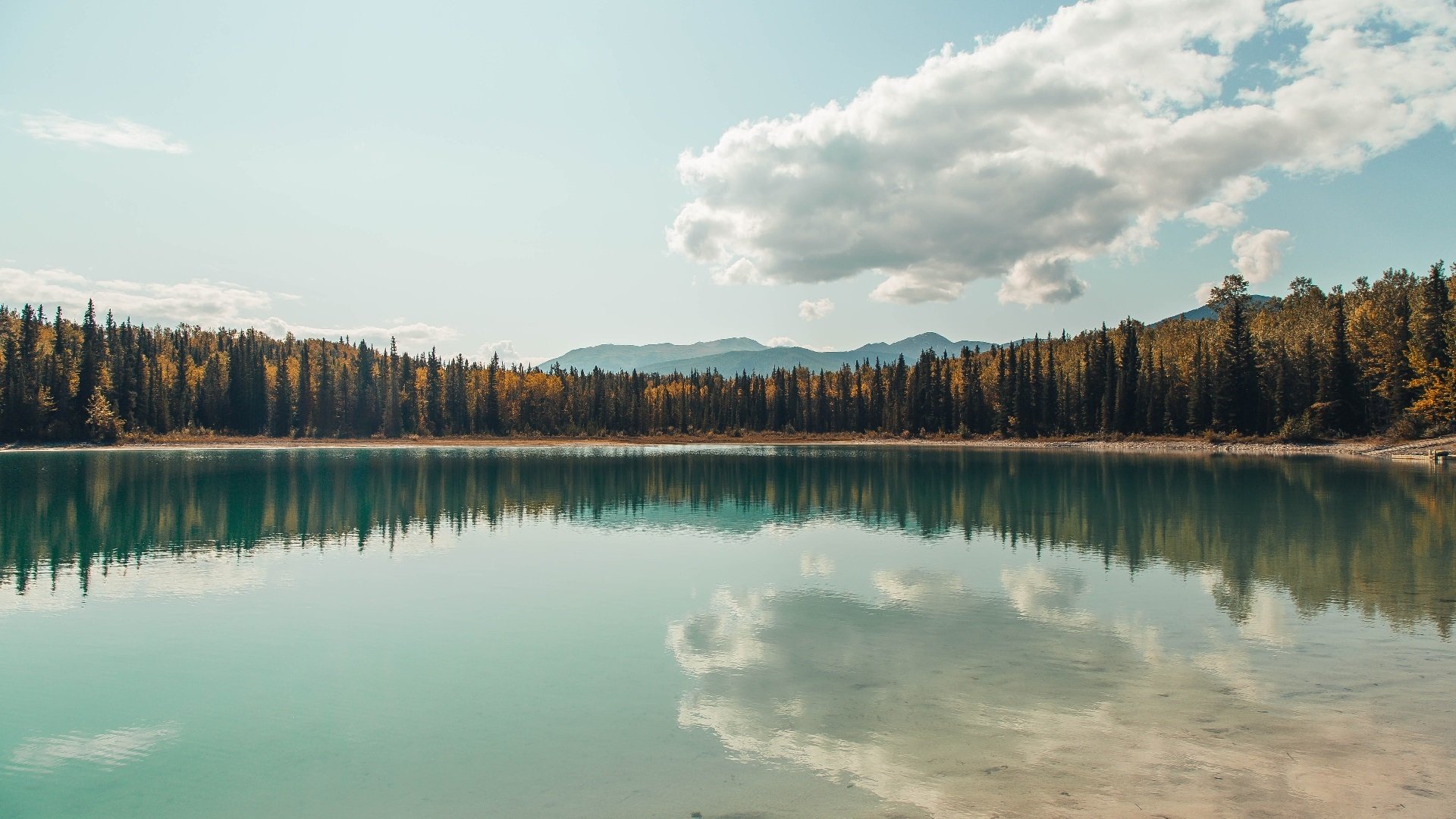 哥伦比亚女足在巴黎奥运会比赛中以2-1击败阿根廷,哥伦比亚足球2021